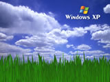 Windows XPϵͳֽ ( 8 )